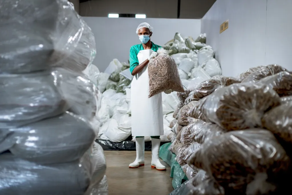 Worker inspecting packaged products in warehouse