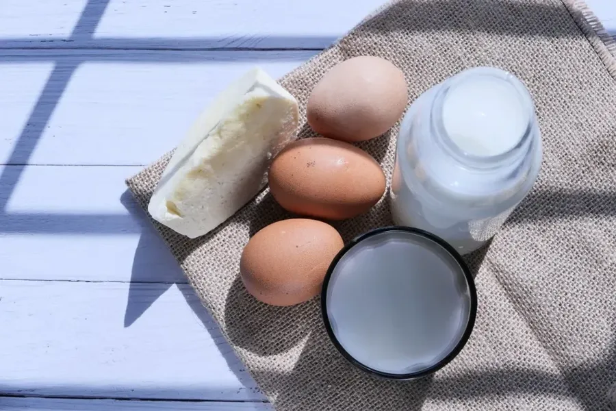 Dairy Processing Standardization