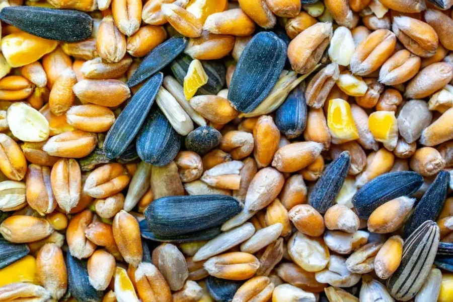 Food and Feed Processing Quality Control
