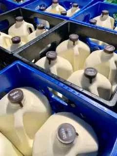 Packaging and Distribution